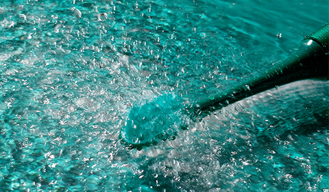 精準護理：電動牙刷如何解決常見口腔問題？